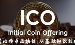 全面解析比特币区块链：